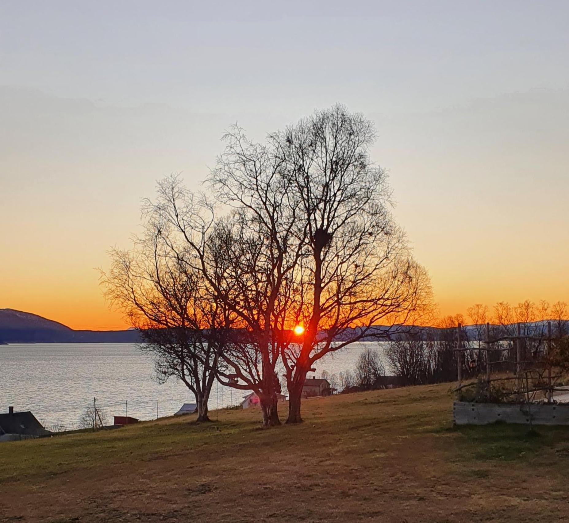 Yggdrasil Farmhotel Retreat, Spa & Yoga Straumsbukta ภายนอก รูปภาพ