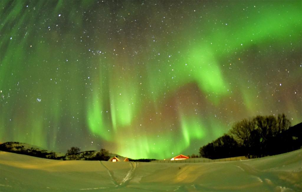 Yggdrasil Farmhotel Retreat, Spa & Yoga Straumsbukta ภายนอก รูปภาพ